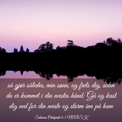 Picture 03 - Salomos Ordspråk 6:3 NORSK - så gjør således, min sønn, og frels dig, - Bible Verse Picture