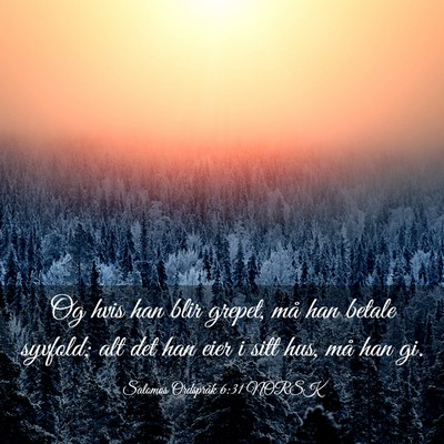 Picture 03 - Salomos Ordspråk 6:31 NORSK - Og hvis han blir grepet, må han betale syvfold; - Bible Verse Picture