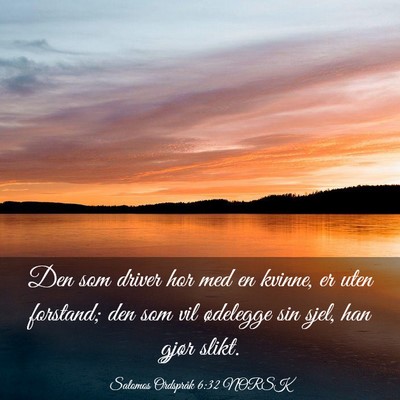 Picture 03 - Salomos Ordspråk 6:32 NORSK - Den som driver hor med en kvinne, er uten - Bible Verse Picture