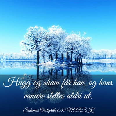 Picture 03 - Salomos Ordspråk 6:33 NORSK - Hugg og skam får han, og hans vanære slettes - Bible Verse Picture