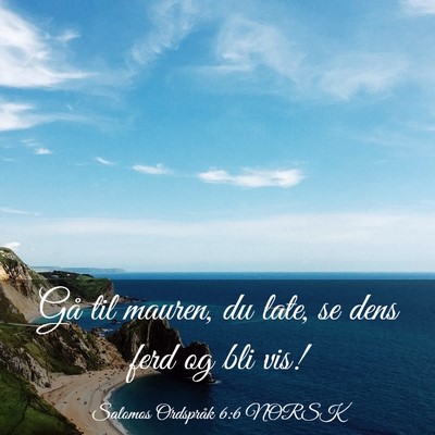 Picture 03 - Salomos Ordspråk 6:6 NORSK - Gå til mauren, du late, se dens ferd og bli - Bible Verse Picture