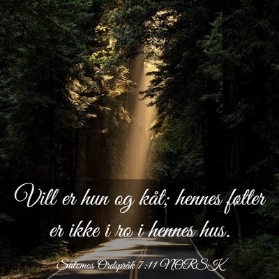 Picture 03 - Salomos Ordspråk 7:11 NORSK - Vill er hun og kåt; hennes føtter er ikke i ro - Bible Verse Picture
