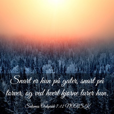 Picture 03 - Salomos Ordspråk 7:12 NORSK - Snart er hun på gater, snart på torver, og ved - Bible Verse Picture