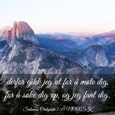 Picture 03 - Salomos Ordspråk 7:15 NORSK - derfor gikk jeg ut for å møte dig, for å søke - Bible Verse Picture