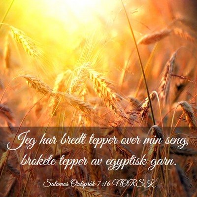 Picture 03 - Salomos Ordspråk 7:16 NORSK - Jeg har bredt tepper over min seng, brokete - Bible Verse Picture