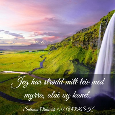 Picture 03 - Salomos Ordspråk 7:17 NORSK - Jeg har strødd mitt leie med myrra, aloè og - Bible Verse Picture