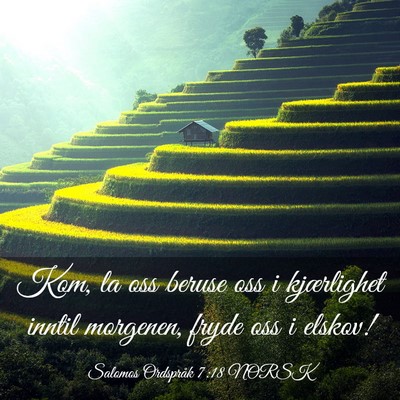 Picture 03 - Salomos Ordspråk 7:18 NORSK - Kom, la oss beruse oss i kjærlighet inntil - Bible Verse Picture