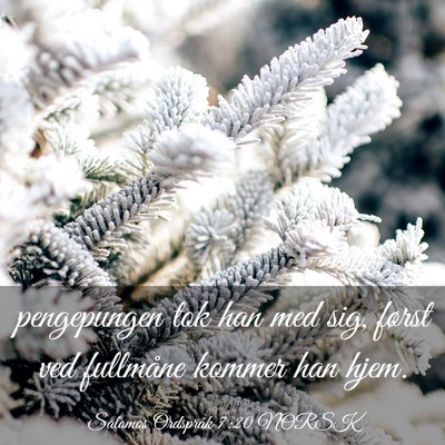 Picture 03 - Salomos Ordspråk 7:20 NORSK - pengepungen tok han med sig, først ved fullmåne - Bible Verse Picture