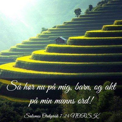 Picture 03 - Salomos Ordspråk 7:24 NORSK - Så hør nu på mig, barn, og akt på min munns - Bible Verse Picture