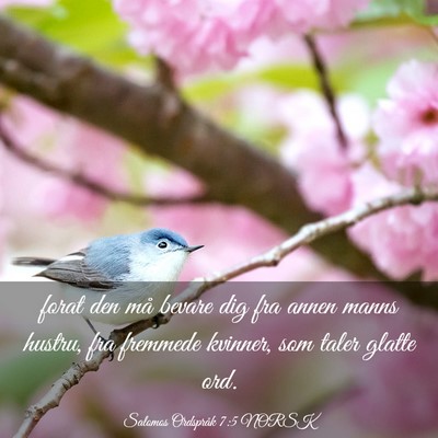 Picture 03 - Salomos Ordspråk 7:5 NORSK - forat den må bevare dig fra annen manns hustru, - Bible Verse Picture