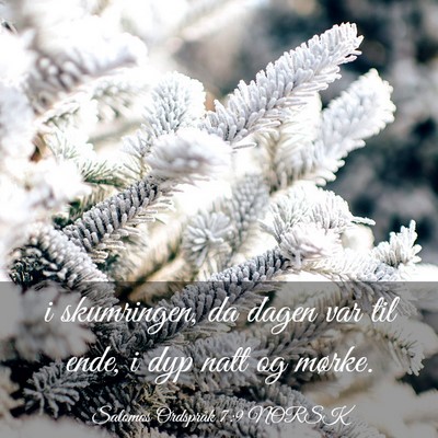 Picture 03 - Salomos Ordspråk 7:9 NORSK - i skumringen, da dagen var til ende, i dyp natt - Bible Verse Picture