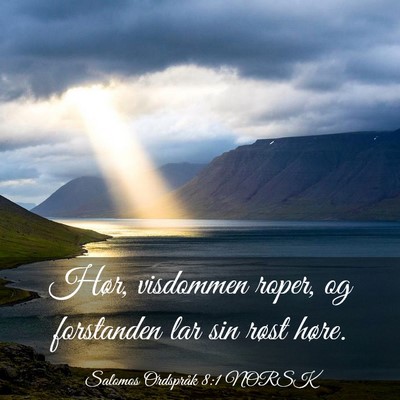 Picture 03 - Salomos Ordspråk 8:1 NORSK - Hør, visdommen roper, og forstanden lar sin - Bible Verse Picture