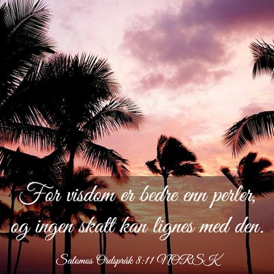 Picture 03 - Salomos Ordspråk 8:11 NORSK - For visdom er bedre enn perler, og ingen skatt - Bible Verse Picture