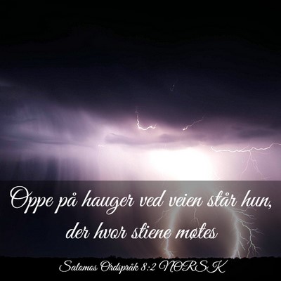 Picture 03 - Salomos Ordspråk 8:2 NORSK - Oppe på hauger ved veien står hun, der hvor - Bible Verse Picture