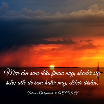 Picture 03 - Salomos Ordspråk 8:36 NORSK - Men den som ikke finner mig, skader sig selv; - Bible Verse Picture