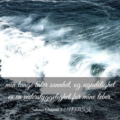 Picture 03 - Salomos Ordspråk 8:7 NORSK - min tunge taler sannhet, og ugudelighet er en - Bible Verse Picture