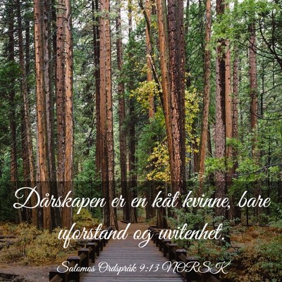 Picture 03 - Salomos Ordspråk 9:13 NORSK - Dårskapen er en kåt kvinne, bare uforstand og - Bible Verse Picture