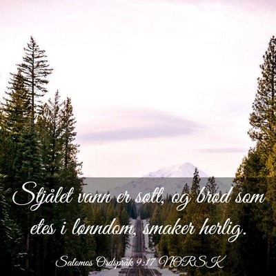 Picture 03 - Salomos Ordspråk 9:17 NORSK - Stjålet vann er søtt, og brød som etes i - Bible Verse Picture