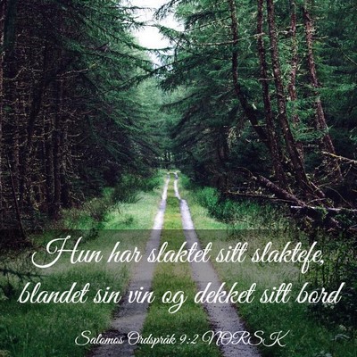 Picture 03 - Salomos Ordspråk 9:2 NORSK - Hun har slaktet sitt slaktefe, blandet sin vin og - Bible Verse Picture