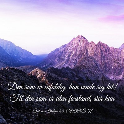 Picture 03 - Salomos Ordspråk 9:4 NORSK - Den som er enfoldig, han vende sig hit! Til den - Bible Verse Picture