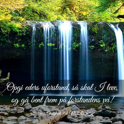 Picture 03 - Salomos Ordspråk 9:6 NORSK - Opgi eders uforstand, så skal I leve, og gå - Bible Verse Picture