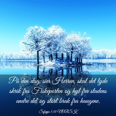 Picture 03 - Sefanja 1:10 NORSK - På den dag, sier Herren, skal det lyde skrik fra - Bible Verse Picture