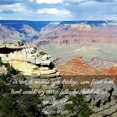 Picture 03 - Titus 1:10 NORSK - For der er mange gjenstridige, som farer med tomt - Bible Verse Picture