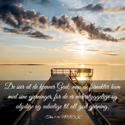 Picture 03 - Titus 1:16 NORSK - De sier at de kjenner Gud; men de fornekter ham - Bible Verse Picture