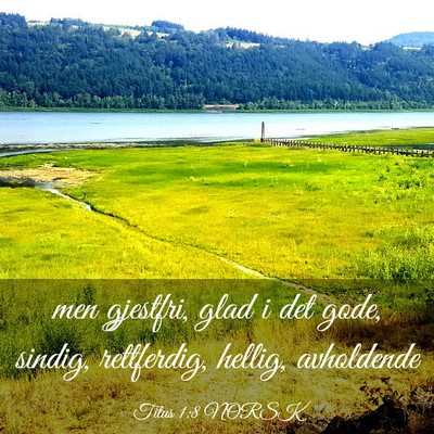 Picture 03 - Titus 1:8 NORSK - men gjestfri, glad i det gode, sindig, - Bible Verse Picture