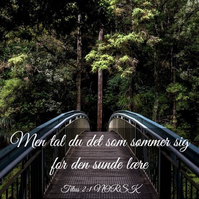 Picture 03 - Titus 2:1 NORSK - Men tal du det som sømmer sig for den sunde - Bible Verse Picture