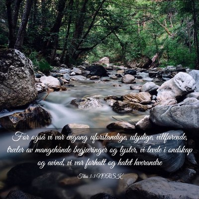 Picture 03 - Titus 3:3 NORSK - For også vi var engang uforstandige, ulydige, - Bible Verse Picture