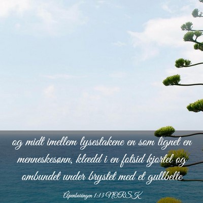 Picture 03 - Åpenbaringen 1:13 NORSK - og midt imellem lysestakene en som lignet en - Bible Verse Picture