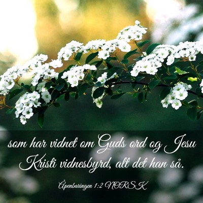 Picture 03 - Åpenbaringen 1:2 NORSK - som har vidnet om Guds ord og Jesu Kristi - Bible Verse Picture