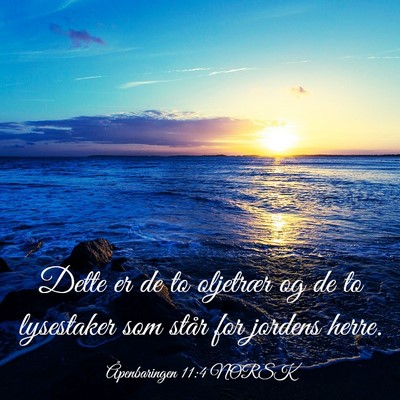 Picture 03 - Åpenbaringen 11:4 NORSK - Dette er de to oljetrær og de to lysestaker som - Bible Verse Picture