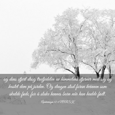Picture 03 - Åpenbaringen 12:4 NORSK - og dens stjert drog tredjedelen av himmelens - Bible Verse Picture