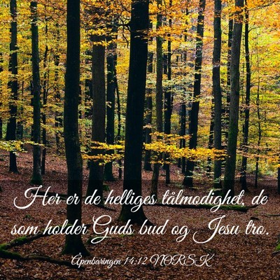 Picture 03 - Åpenbaringen 14:12 NORSK - Her er de helliges tålmodighet, de som holder - Bible Verse Picture