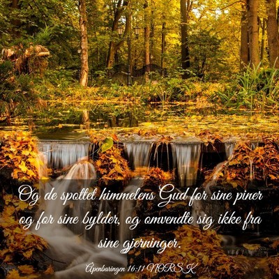 Picture 03 - Åpenbaringen 16:11 NORSK - Og de spottet himmelens Gud for sine piner og for - Bible Verse Picture