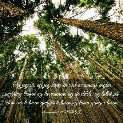 Picture 03 - Åpenbaringen 5:11 NORSK - Og jeg så, og jeg hørte en røst av mange - Bible Verse Picture