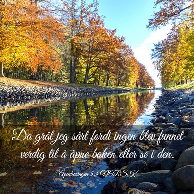 Picture 03 - Åpenbaringen 5:4 NORSK - Da gråt jeg sårt fordi ingen blev funnet verdig - Bible Verse Picture