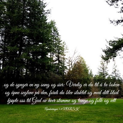 Picture 03 - Åpenbaringen 5:9 NORSK - og de synger en ny sang og sier: Verdig er du til - Bible Verse Picture
