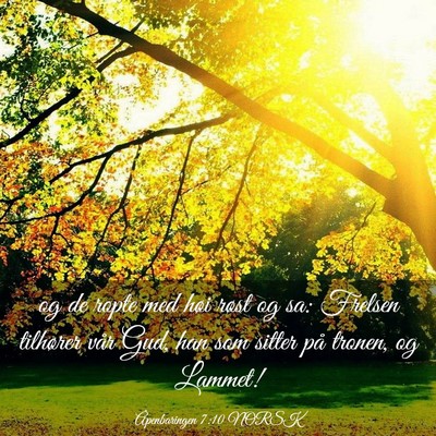 Picture 03 - Åpenbaringen 7:10 NORSK - og de ropte med høi røst og sa: Frelsen - Bible Verse Picture
