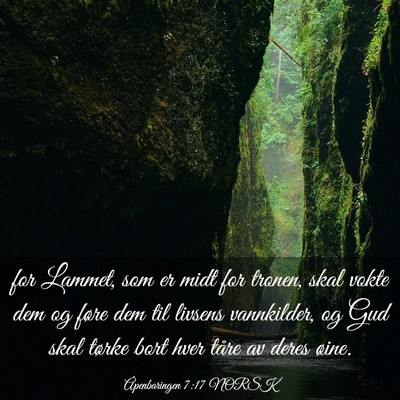 Picture 03 - Åpenbaringen 7:17 NORSK - for Lammet, som er midt for tronen, skal vokte - Bible Verse Picture