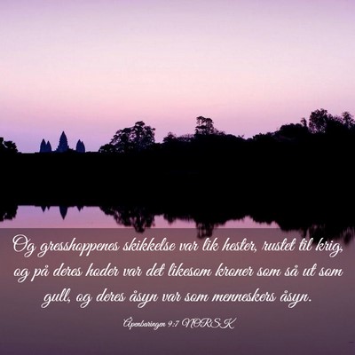 Picture 03 - Åpenbaringen 9:7 NORSK - Og gresshoppenes skikkelse var lik hester, rustet - Bible Verse Picture