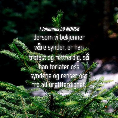 Picture 04 - 1 Johannes 1:9 NORSK - dersom vi bekjenner våre synder, er han trofast - Bible Verse Picture