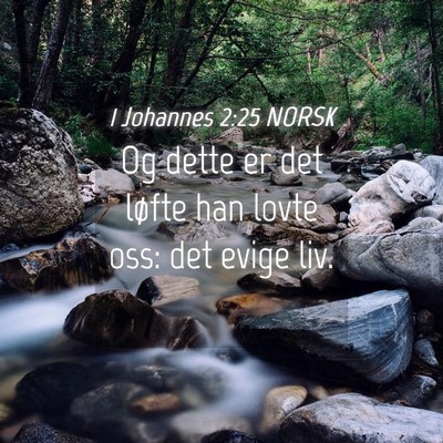 Picture 04 - 1 Johannes 2:25 NORSK - Og dette er det løfte han lovte oss: det evige - Bible Verse Picture