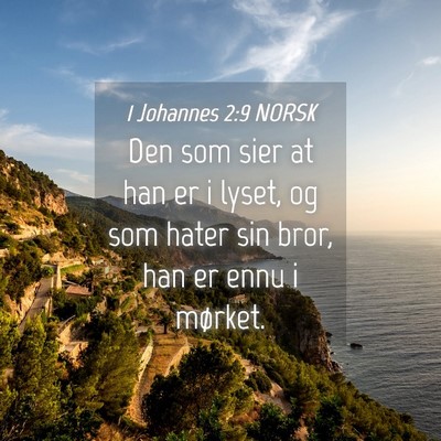 Picture 04 - 1 Johannes 2:9 NORSK - Den som sier at han er i lyset, og som hater sin - Bible Verse Picture
