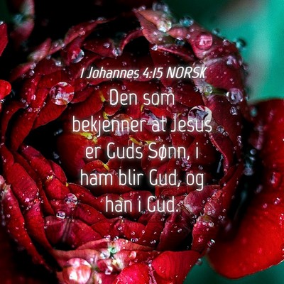 Picture 04 - 1 Johannes 4:15 NORSK - Den som bekjenner at Jesus er Guds Sønn, i ham - Bible Verse Picture
