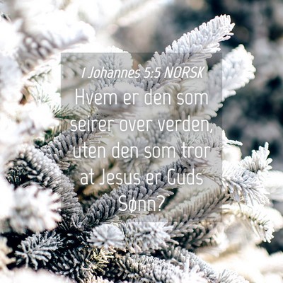 Picture 04 - 1 Johannes 5:5 NORSK - Hvem er den som seirer over verden, uten den som - Bible Verse Picture