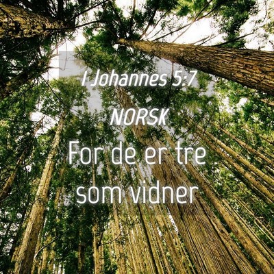 Picture 04 - 1 Johannes 5:7 NORSK - For de er tre som - Bible Verse Picture