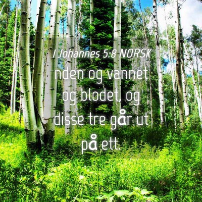 Picture 04 - 1 Johannes 5:8 NORSK - nden og vannet og blodet, og disse tre går ut - Bible Verse Picture
